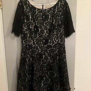 Banana Republic floral lace black cocktail dress